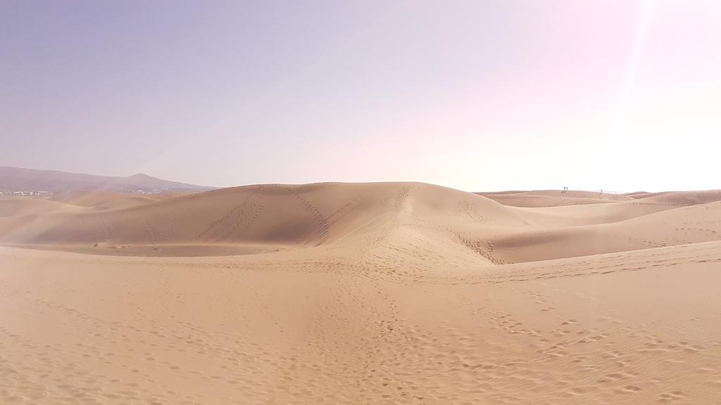 Huella Canaria Complejo Las Olas 普拉亚戴尔雷安格莱斯 外观 照片